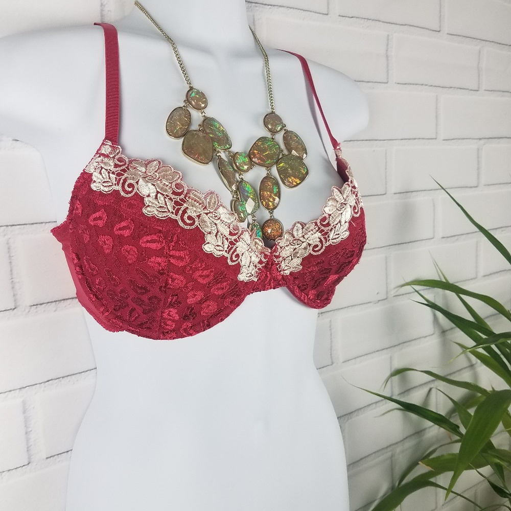 Donna Karan Ruby Red and Ivory Bra 34C